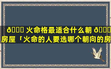 🐞 火命格最适合什么朝 🐅 向房屋「火命的人要选哪个朝向的房子」